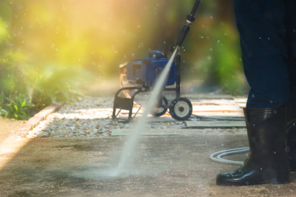 Best Roof Washing  in Shinglehouse, PA